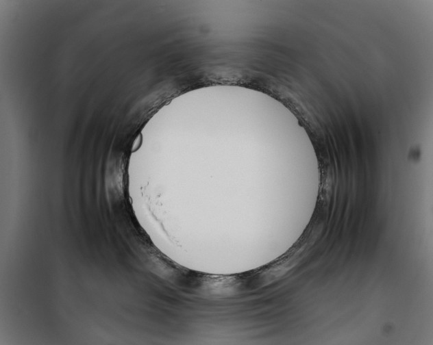 X0000099930334200806201102