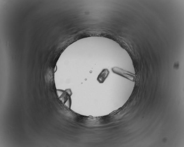 X0000099930335200806201102