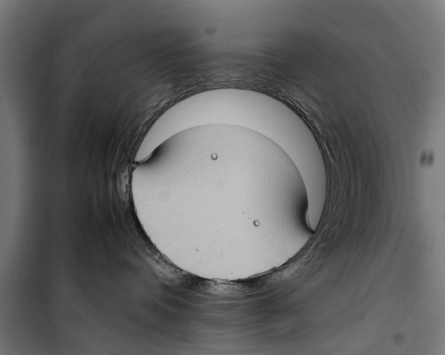 X0000099930336200806201102