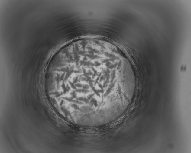 X0000099930337200806201102