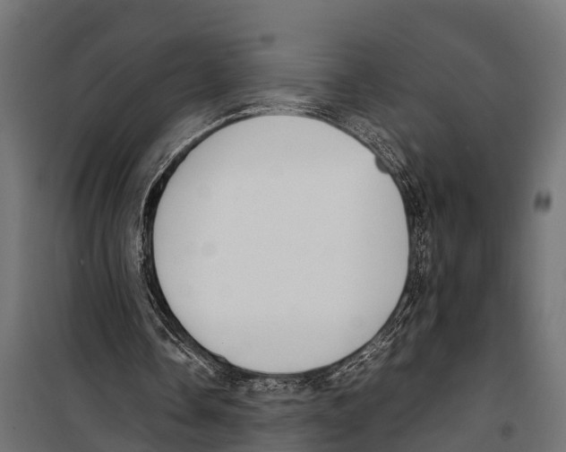 X0000099930338200806201102