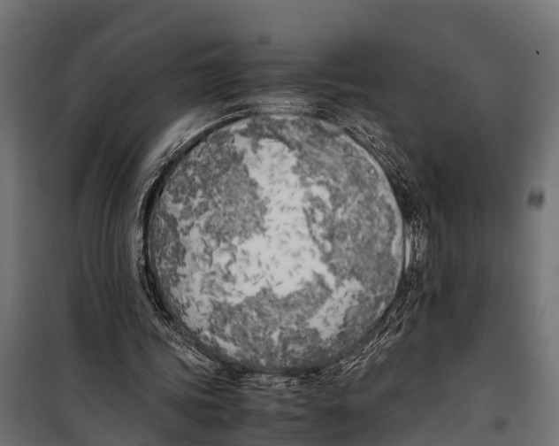 X0000099930339200806201102