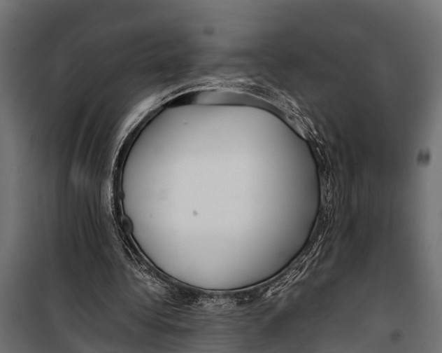 X0000099930340200806201102