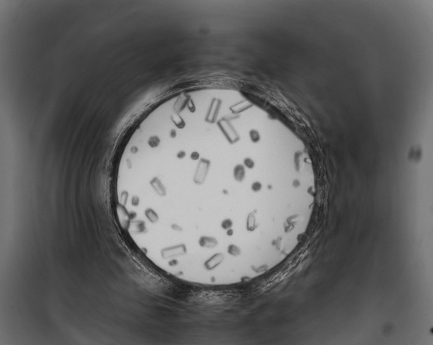 X0000099930341200806201102