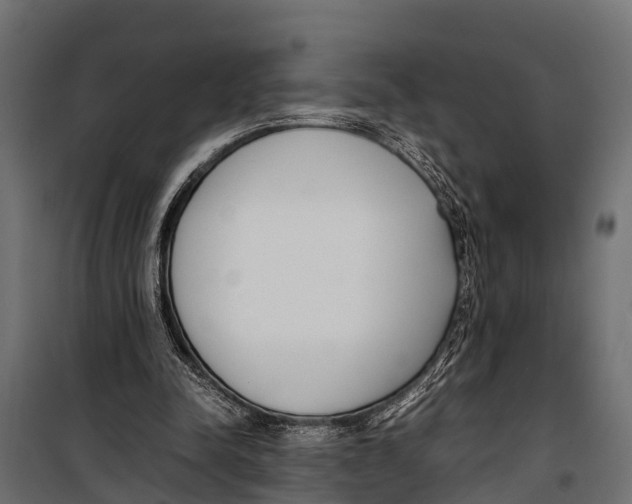 X0000099930342200806201102