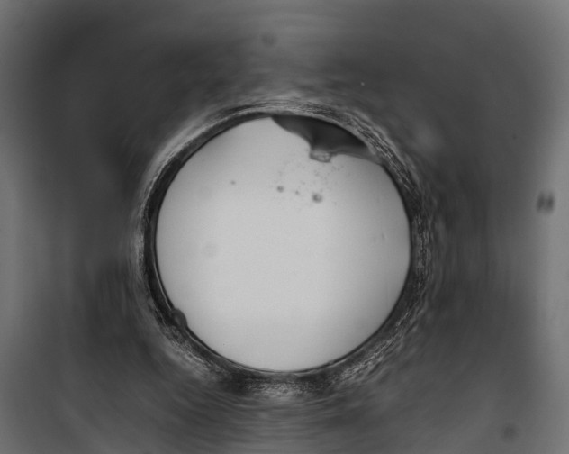 X0000099930344200806201102