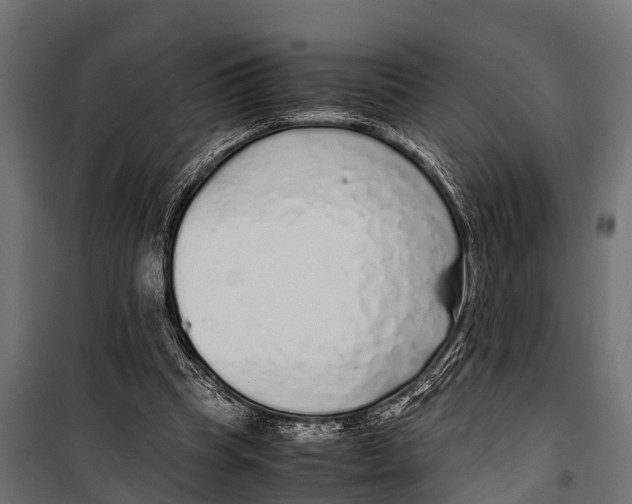 X0000099930345200806201102