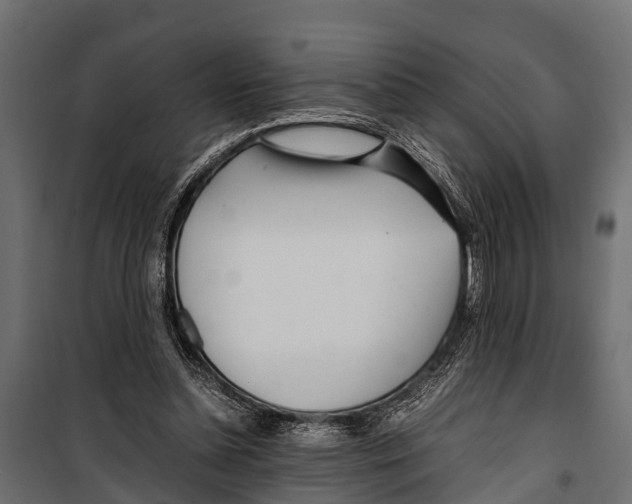 X0000099930348200806201102