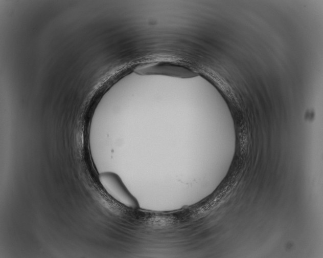 X0000099930350200806201102