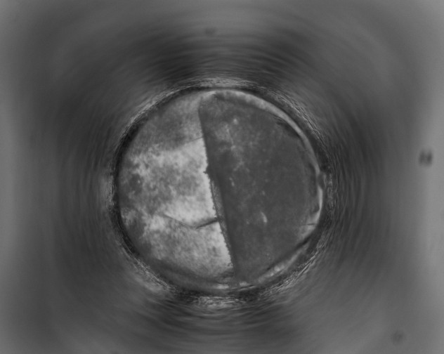 X0000099930351200806201102