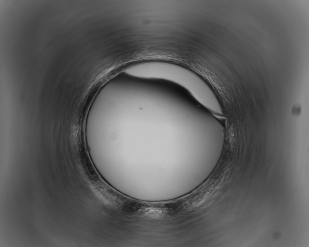 X0000099930352200806201102