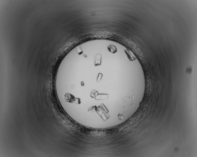 X0000099930354200806201102