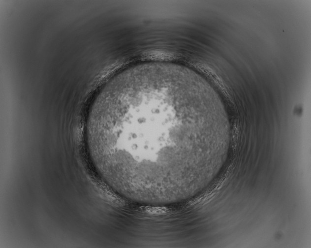 X0000099930355200806201102