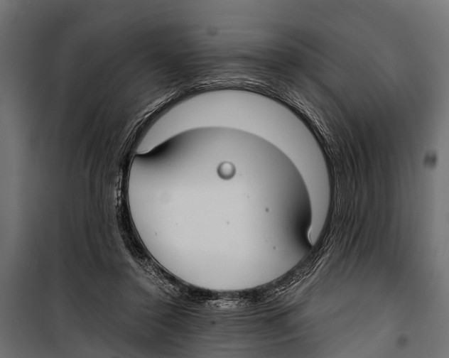 X0000099930356200806201102