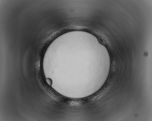 X0000099930358200806201102