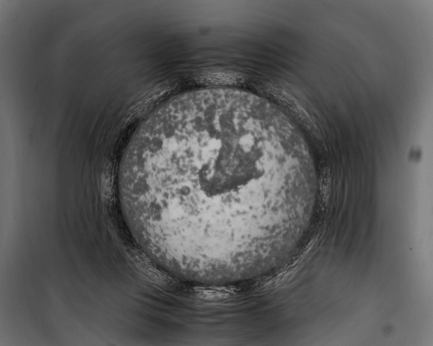 X0000099930359200806201102