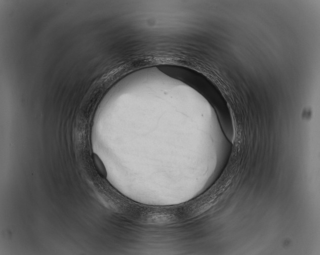 X0000099930360200806201102