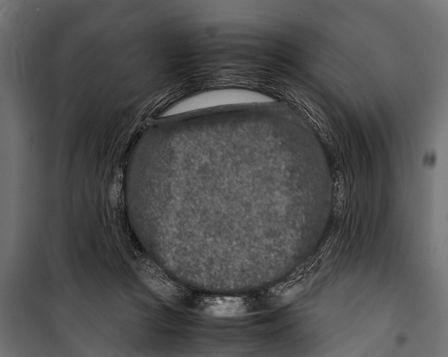 X0000099930361200806201102