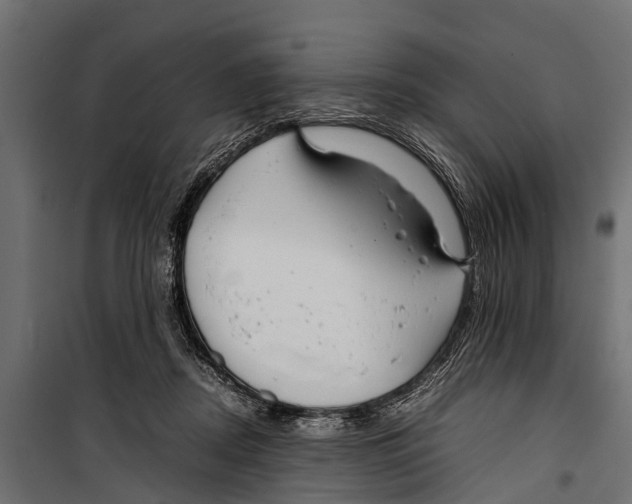 X0000099930362200806201102