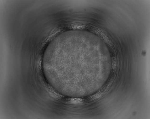 X0000099930363200806201102