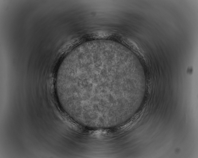 X0000099930366200806201102