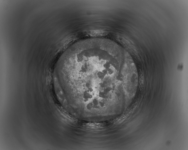 X0000099930367200806201102