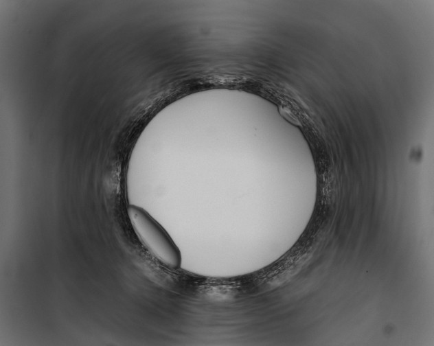 X0000099930368200806201102