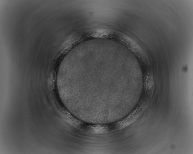 X0000099930370200806201102