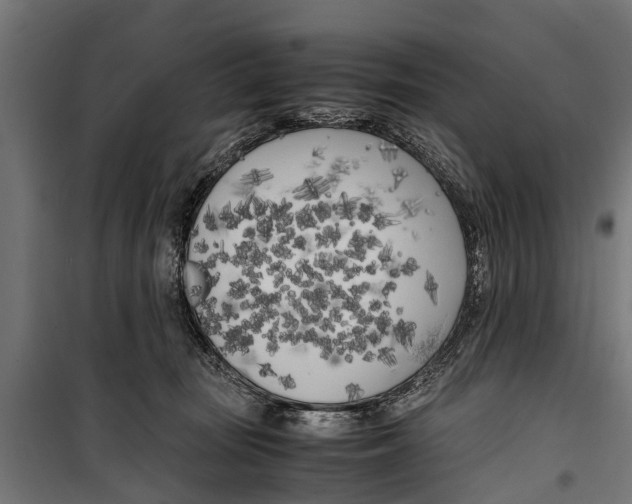 X0000099930371200806201102