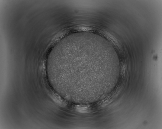 X0000099930373200806201102