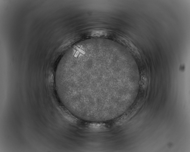 X0000099930375200806201102