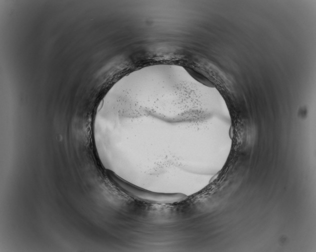 X0000099930376200806201102