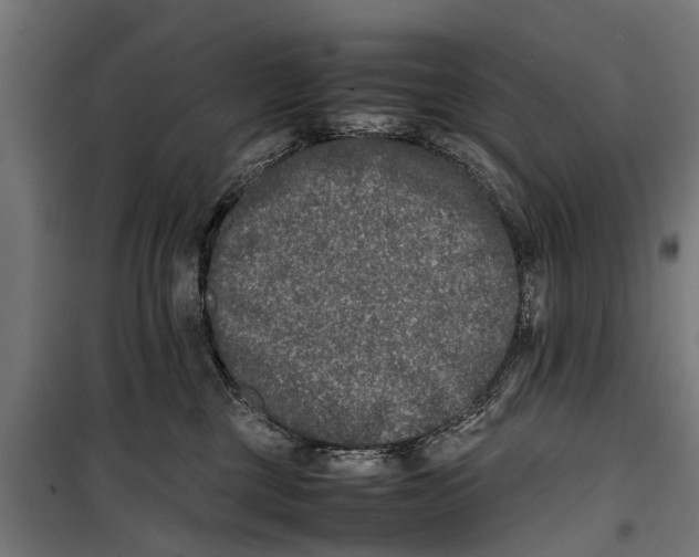 X0000099930377200806201102