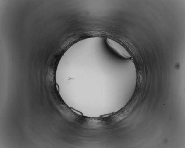 X0000099930380200806201102