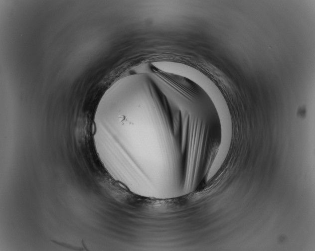 X0000099930382200806201102