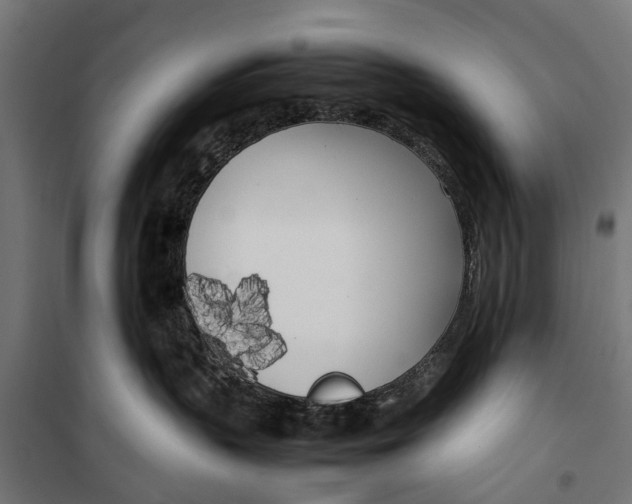 X0000099930383200806201102