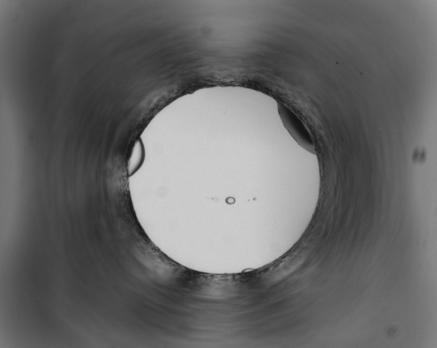 X0000099930384200806201102