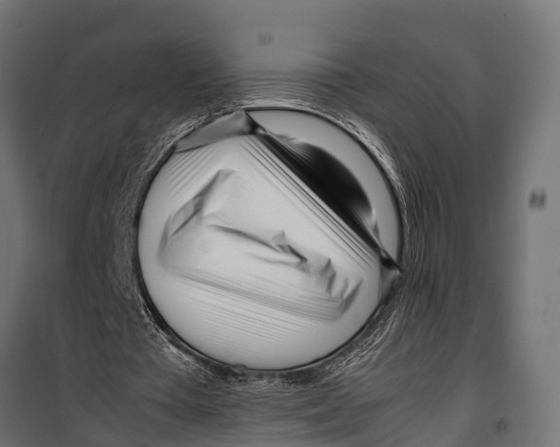 X0000099930385200806201102