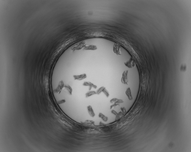 X0000099930386200806201102