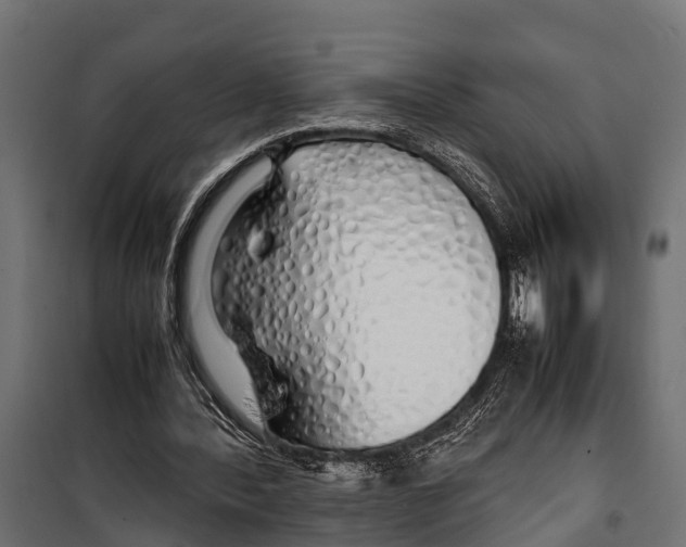 X0000099930388200806201102