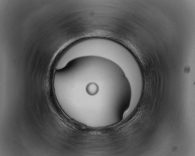 X0000099930392200806201102