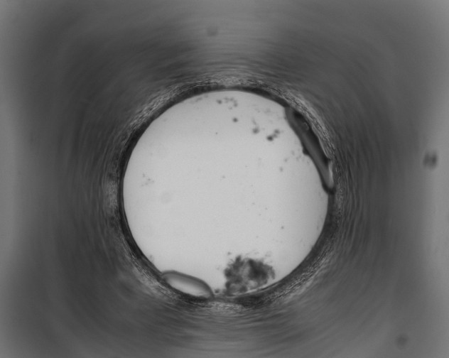 X0000099930393200806201102