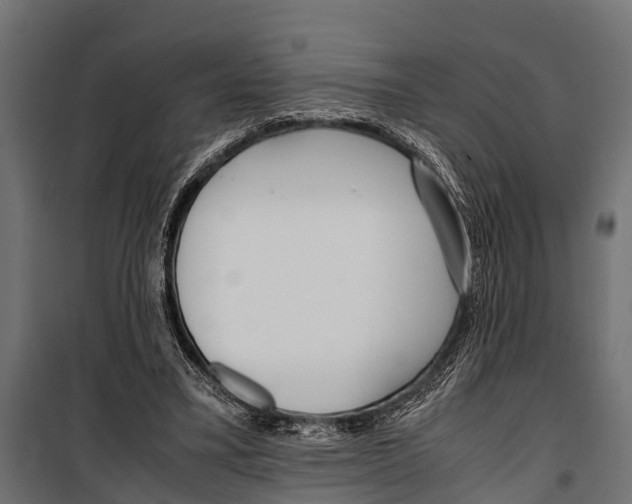 X0000099930395200806201102