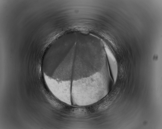 X0000099930398200806201102