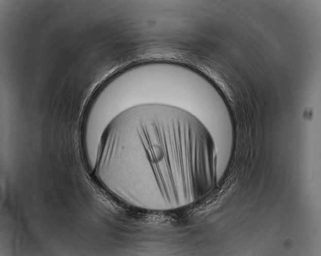 X0000099930399200806201102