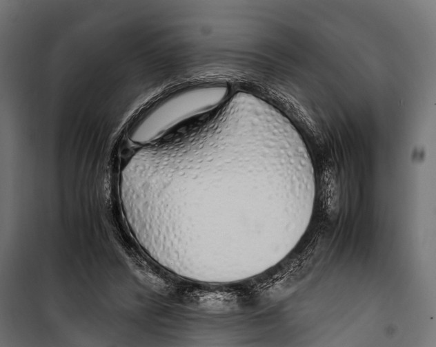 X0000099930400200806201102