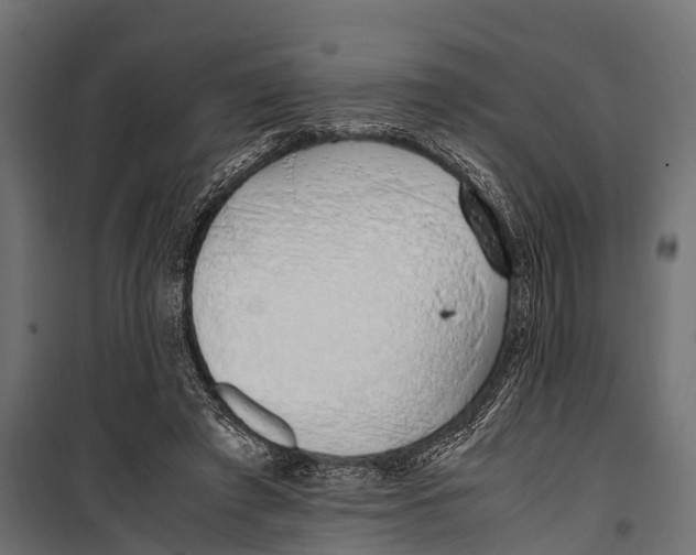 X0000099930401200806201102