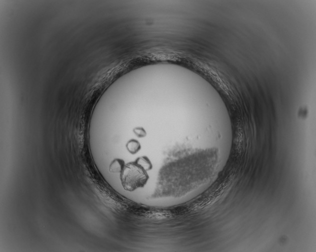 X0000099930402200806201101