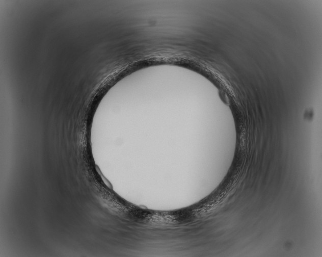 X0000099930403200806201101