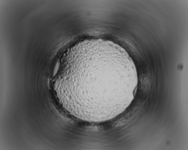 X0000099930404200806201101